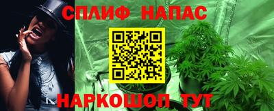 прущие грибы Тула