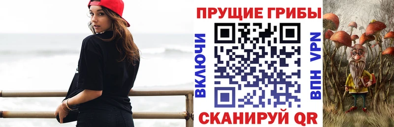 закладка  Саратов  Галлюциногенные грибы мицелий 