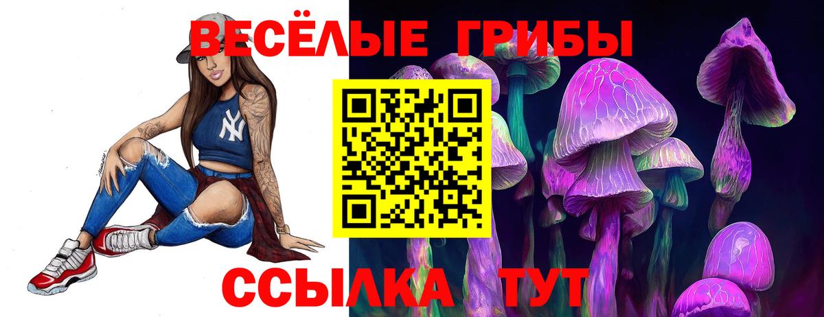 цена   Вход с VPN  Саратов  Галлюциногенные грибы Psilocybe 